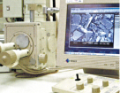 SEM/EDS(微细结构观察)