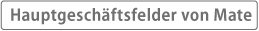 Hauptgeschäftsfelder von Mate